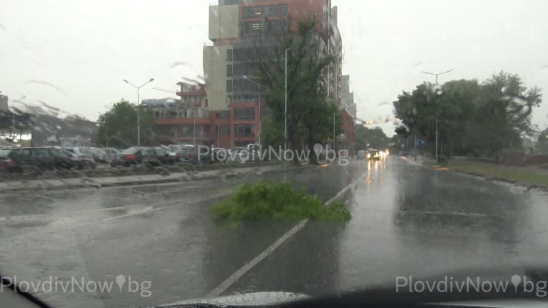 Дъждът в Пловдив причини неудобства, клони паднаха по булевардите