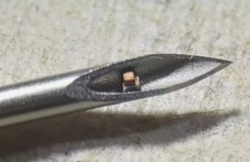 ucheni-sazdadoha-miniatyuren-chip-koito-787.jpg