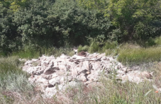 smetishte-nezakonno-izhvarleni-kozhi-252.png