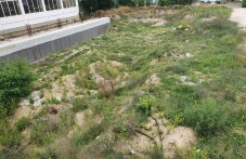 kmetat-tarsi-pari-noviia-basein-plovdiv-611.jpg