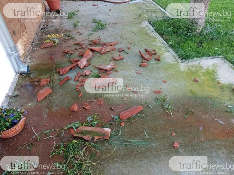Изкоренени дървета, изпочупени клони, паднали керемиди в Раковски и Брезово след бурята