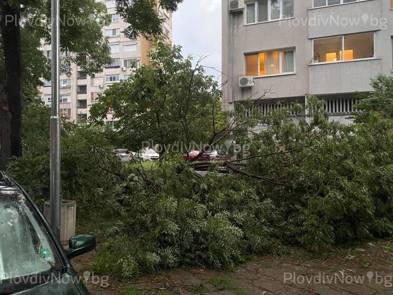 Много поразии направи тази вечер бурята в Пловдив