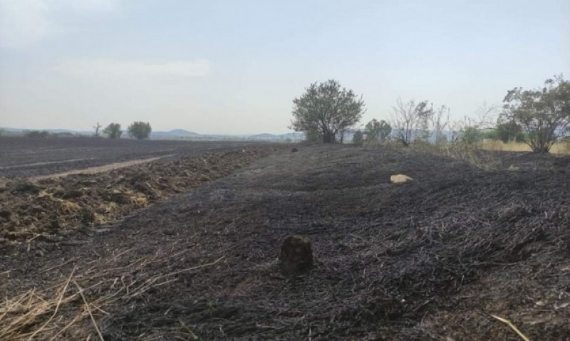 Голям пожар в Пловдивско унищожи близо 300 декара житни масиви