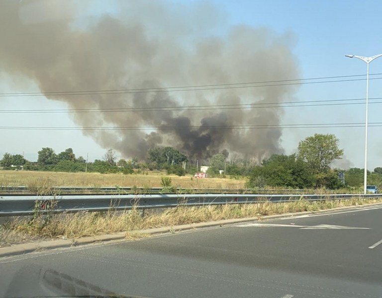 Пак пожар! Запалиха се дървета и треви край изход на Пловдив