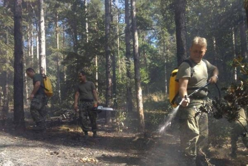 Овладян е почти пожарът край Розино, вече няма опасност за хората