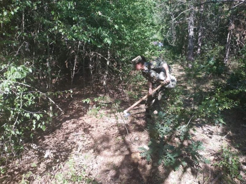 Огнената стихия бушува край хисарското село Михилци, военни се включиха в гасенето