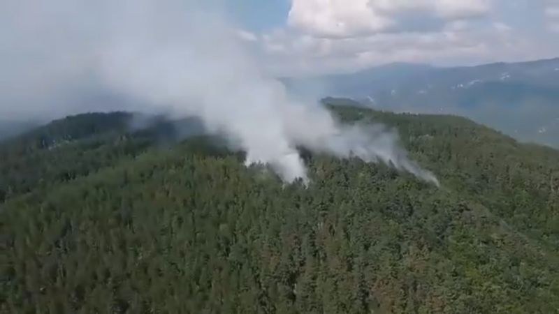 Четвърти ден продължава гасенето на големият пожар над родопското село Югово