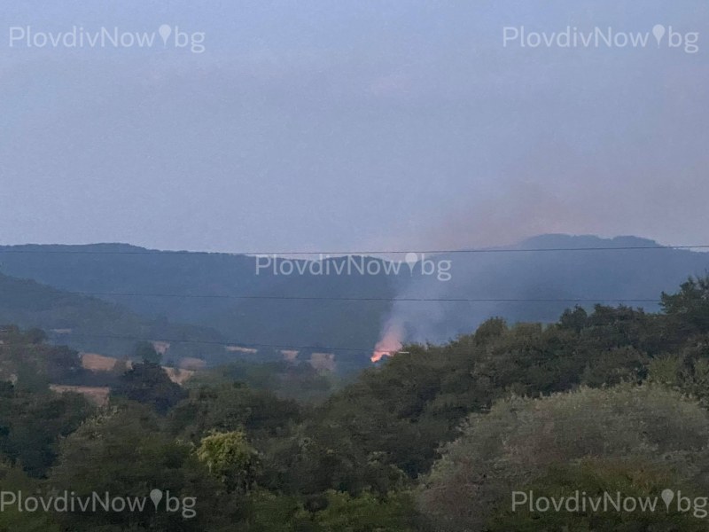 Пожар край брезовското село Розовец, запали се гора