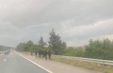 nad-150-nelegalni-bezhantsi-zadarzhani-277.jpg