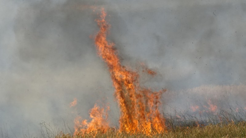 4 пожарни са гасили пожара край Белащица