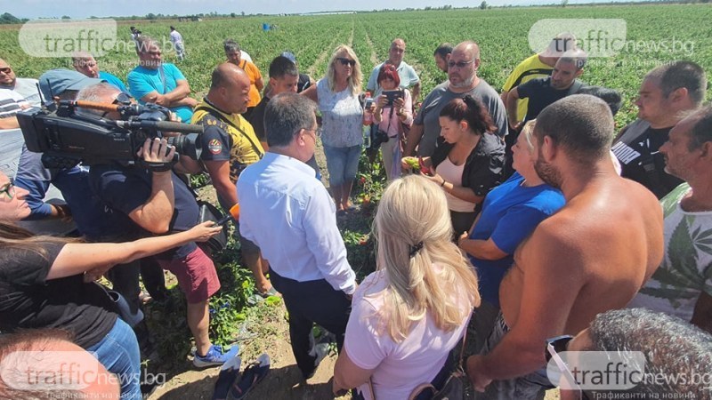 МЗ обяви каква помощ ще могат да получат пострадалите от градушка земеделци в Пловдивско