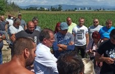 mzhg-e-gotovo-finansovite-instrumenti-789.jpg