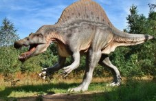 ratio-plovdiv-kogato-dinozavrite-953.jpg