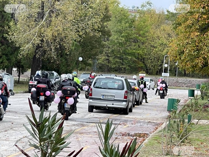 Десетки жени се събраха на Гребната база в подкрепа на кампания срещу рака на гърдата