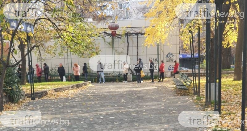 Опашки днес пред лабораториите в Пловдив, сертификатите за антитела - най-рано утре