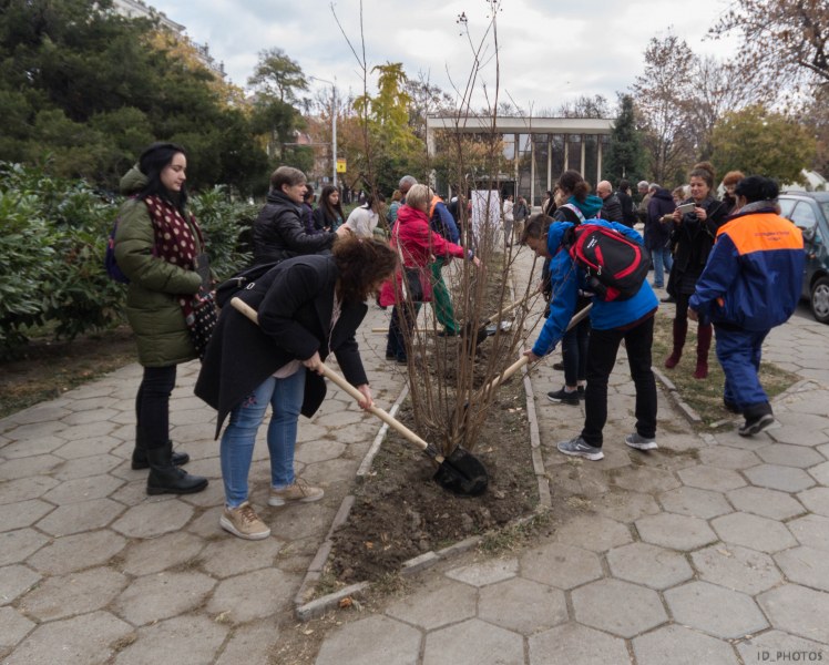 Нова градина на толерантността създават в Пловдив