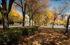 po-topal-chetvartak-zapochva-plovdiv-226.jpg