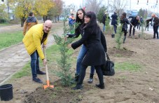 poiavi-se-nova-gradina-tolerantnostta-156.jpg