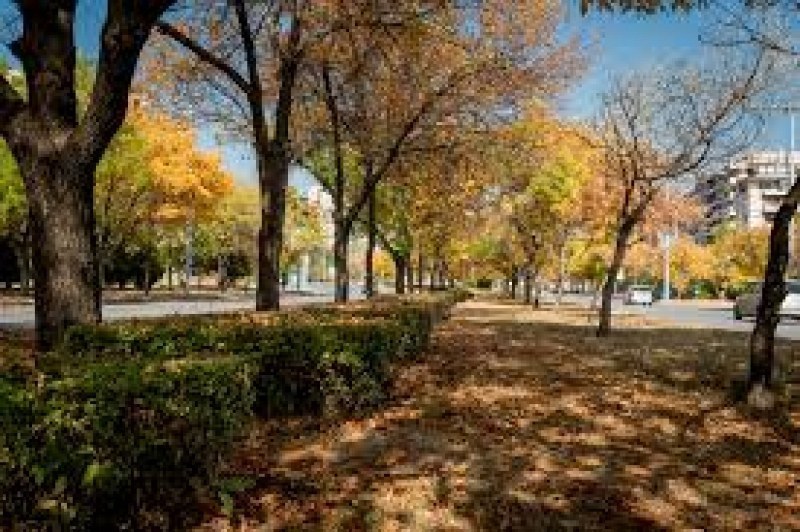 По-топъл четвъртък започва в Пловдив, очаква се и повече слънце