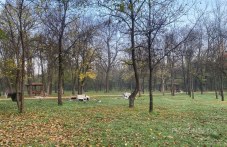 vandali-potroshiha-barbekyutata-park-885.jpg