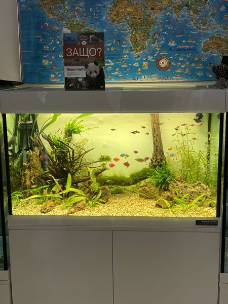 Нов аквариум радва малчуганите в пловдивска детска градина