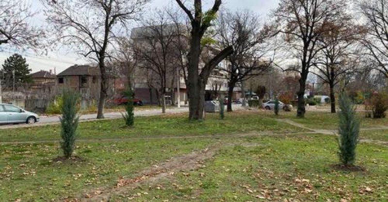 Озеленяват парковете в Стамболийски, докато времето позволява