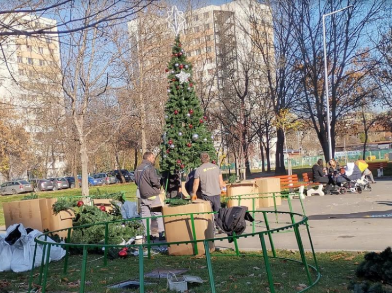 Палят утре светлините на елхата в парк “Ружа“