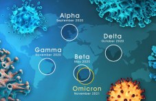 alfa-beta-gama-delta-i-omikron-zashto-800.jpg
