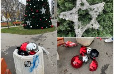 detsa-li-ste-ili-prestapnitsi-537.jpg