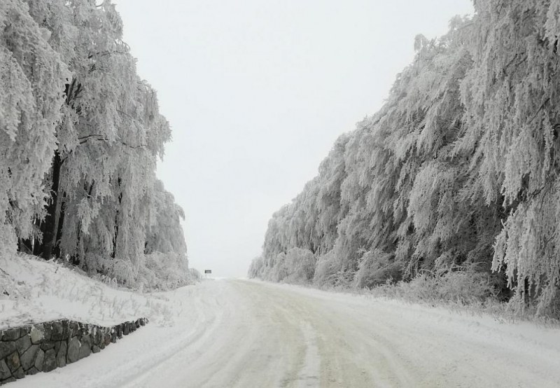 Важно за шофьорите: През нощта пътищата ще станат опасни, идва сняг