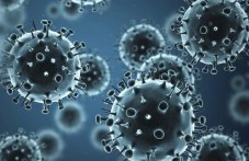 parviiat-sezona-gripen-virus-e-932.jpg