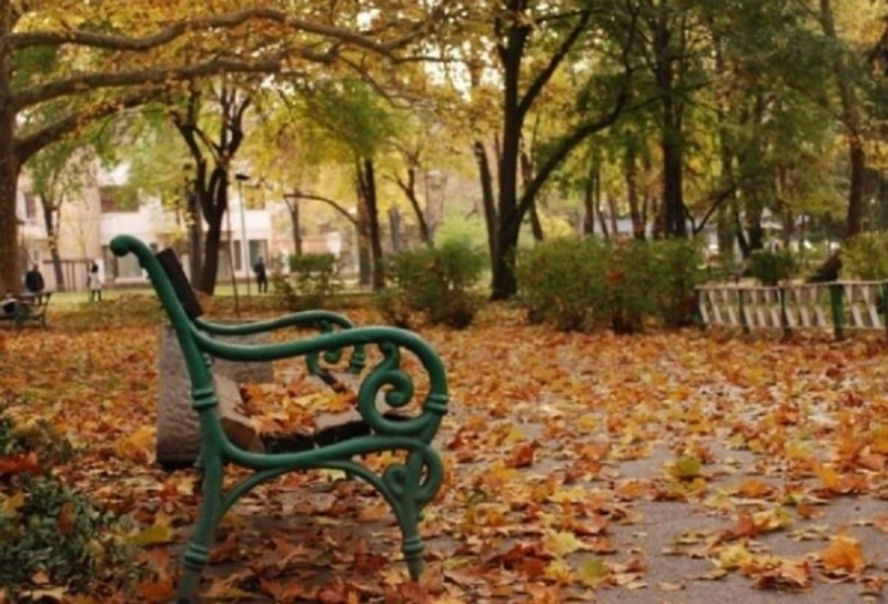 Сряда в Пловдив - валежите временно спират, слънцето плахо се показва