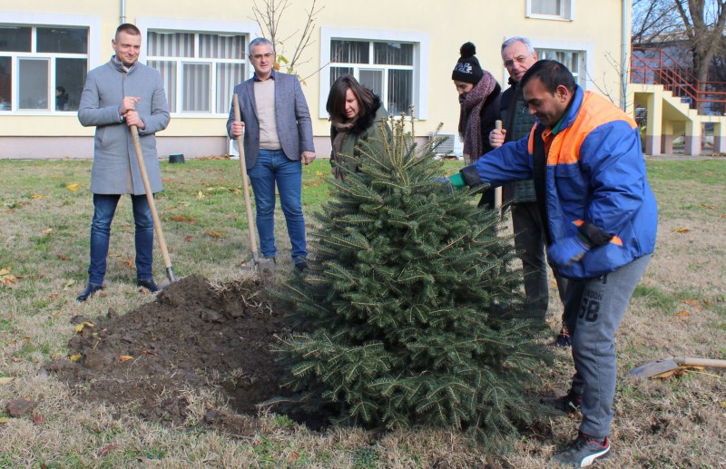 Детските градини в Пловдив получиха подаръци - елхички