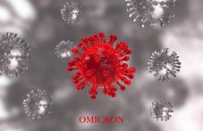Учени: Омикрон може да е тръгнал от мишка ucheni-omikron-mozhe-da-e-tragnal-mishka-869.jpg