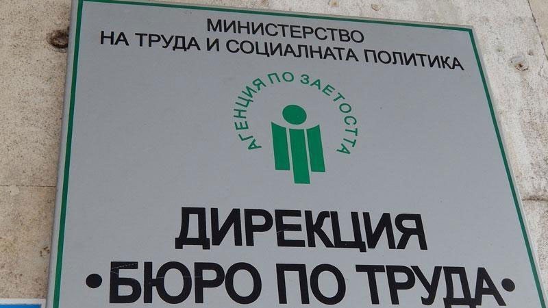 Работа в Първомай и Садово - обявиха над 60 свободни места