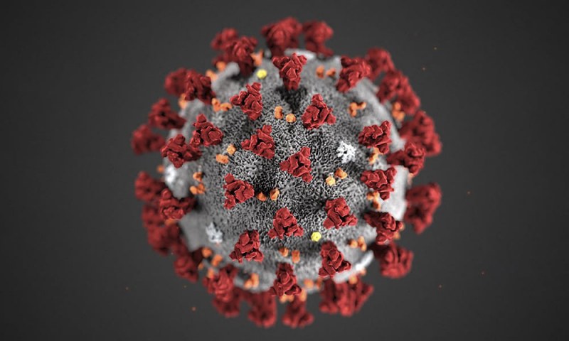 Изследване: Преболедувалите новия вариант на коронавирус може да имат антитела до 20 месеца