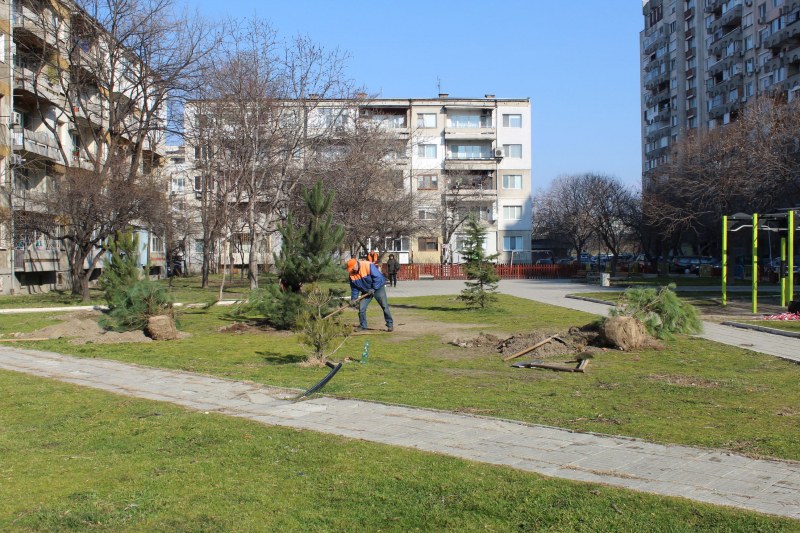 Нови борчета пуснаха корени в “Северен“