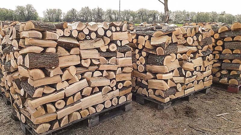 Земеделският министър: Директната продажба на дърва за огрев ще обезпечи доставките за местното население