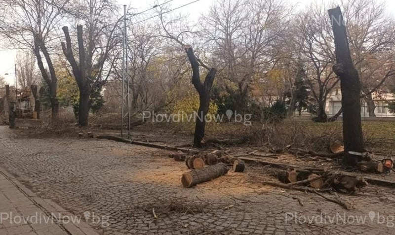 Строителните дейности по ул. „Даме Груев” се възобновяват