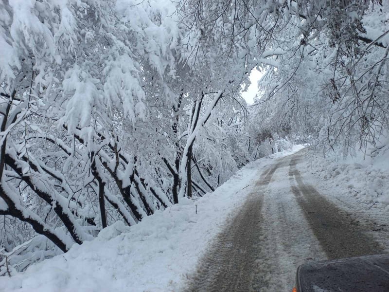 До 20 см нов сняг в Асеновградско, пътищата се почистват