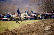 zrelishtni-konski-kushii-todorovden-517.jpg