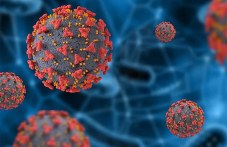 krai-izvanrednata-epidemichna-636.jpg