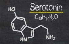 serotoninat-hormon-shtastieto-kakvo-884.jpg