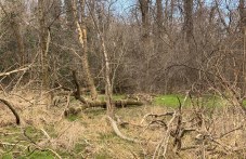 misiia-lauta2-sabira-dobrovoltsi-nova-890.jpg