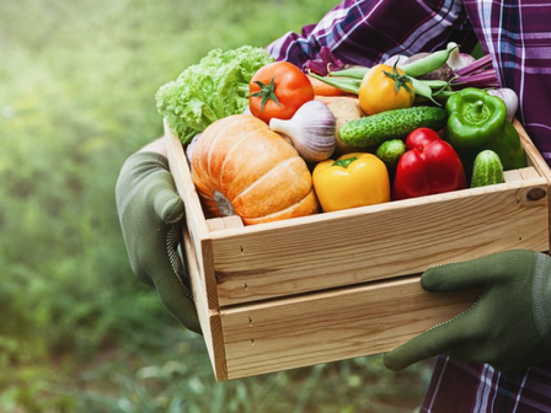 Храни с растителен произход намаляват риска от диабет