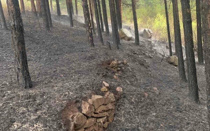 Пожар край Кричим, декари гора са засегнати