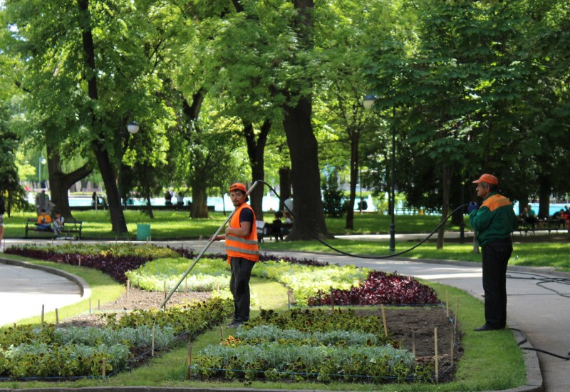 ОП „Градини и паркове“ в Пловдив търси да назначи работници