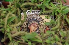 traditsii-i-obichai-tsvetnitsa-kakvo-se-220.jpg