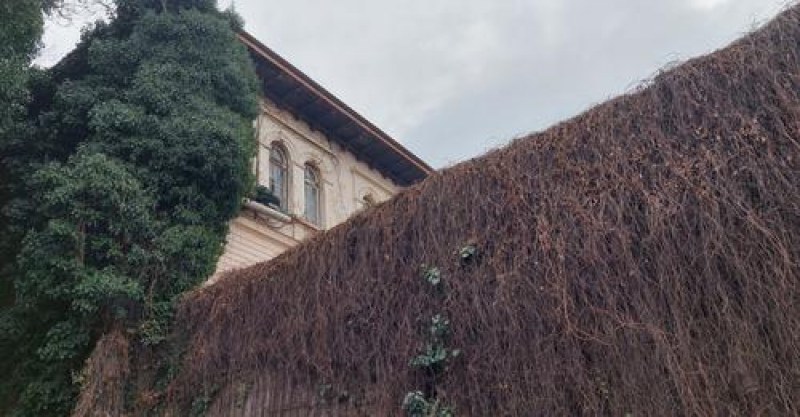 Предложение: Сградата на стария винпром в Пловдив да стане културна ценност