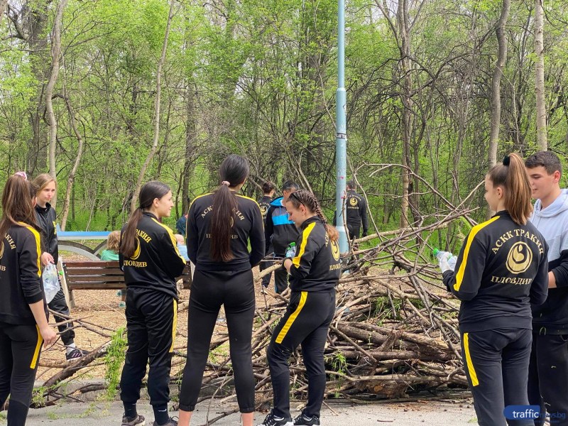 Успешна “Мисия Лаута 2“, доброволци изнесоха тонове дървесина